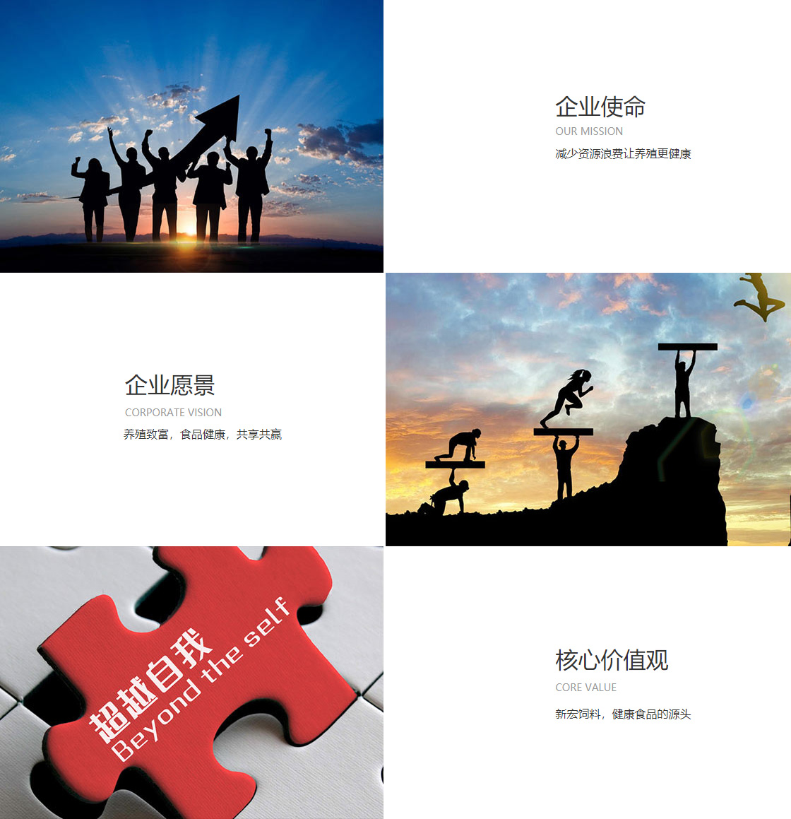 韦德网站官方入口(图1)